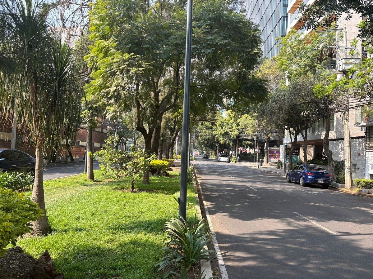 Apartamento em Ampliación Granada, Miguel Hidalgo, foto 10 de 19