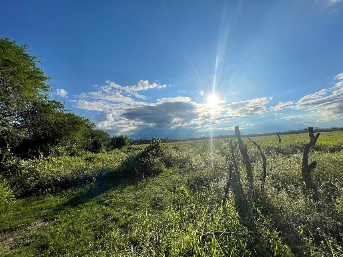 Lot in Acatlán de Juárez Centro, Acatlán de Juárez, photo 4 of 5