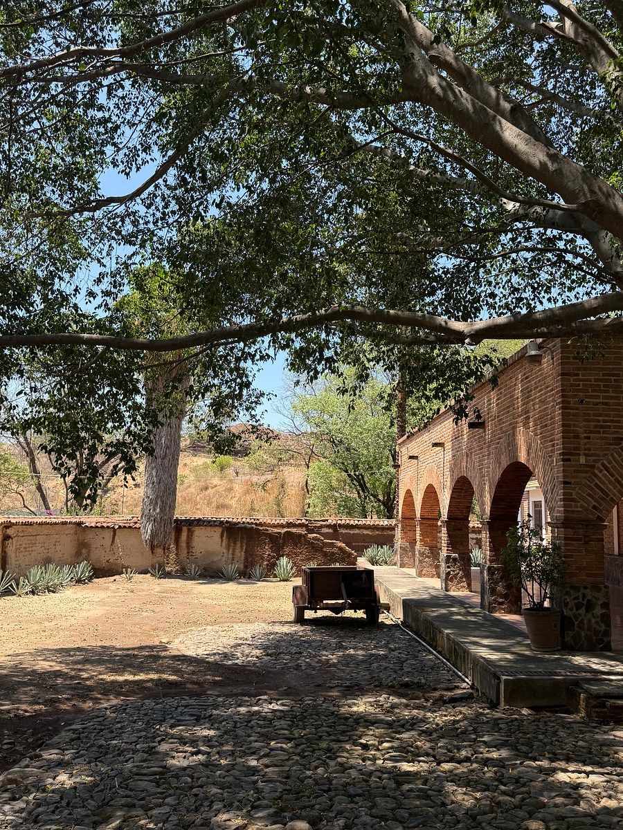 Hacienda Amatitán, foto 1 de 15