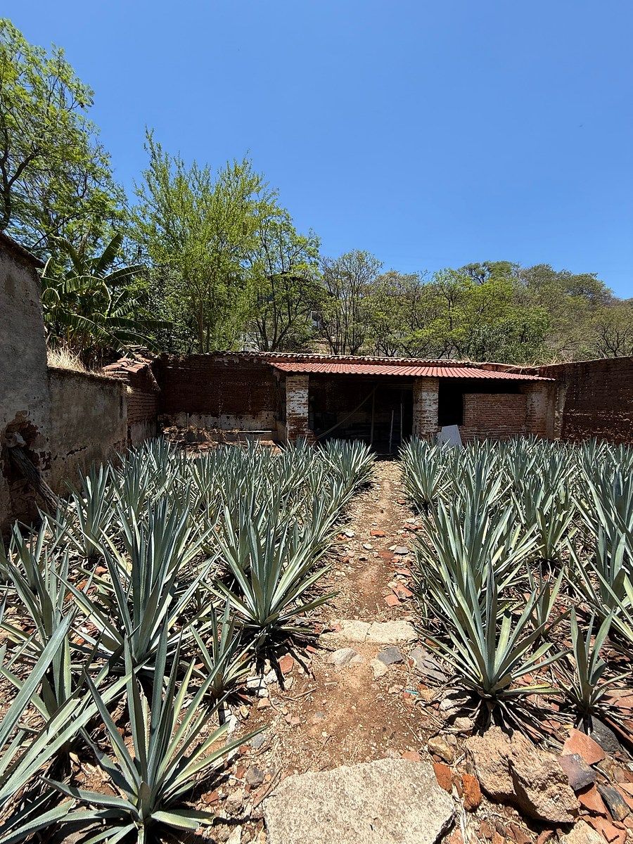 Rancho en Don Bosco, Amatitán, foto 11 de 15