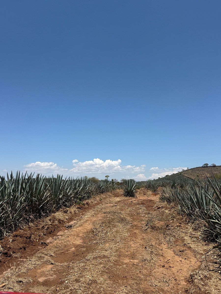 Rancho en Don Bosco, Amatitán, foto 14 de 15