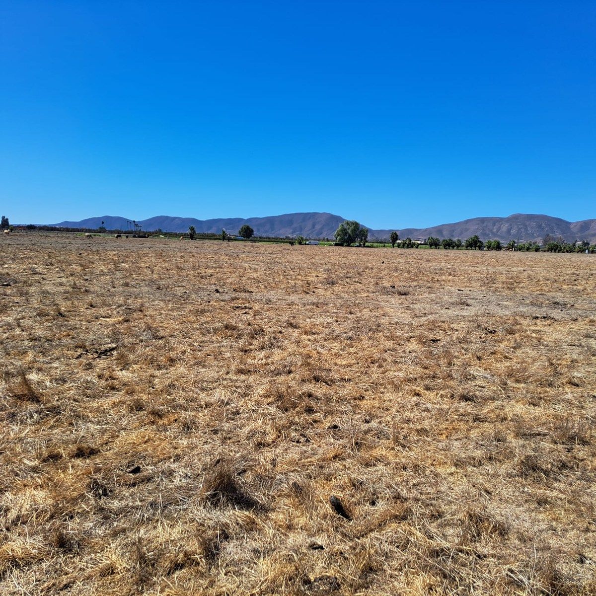 Lote em Valle de Guadalupe, Ensenada, foto 2 de 5