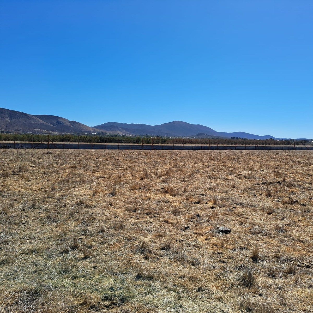 Lote em Valle de Guadalupe, Ensenada, foto 4 de 5
