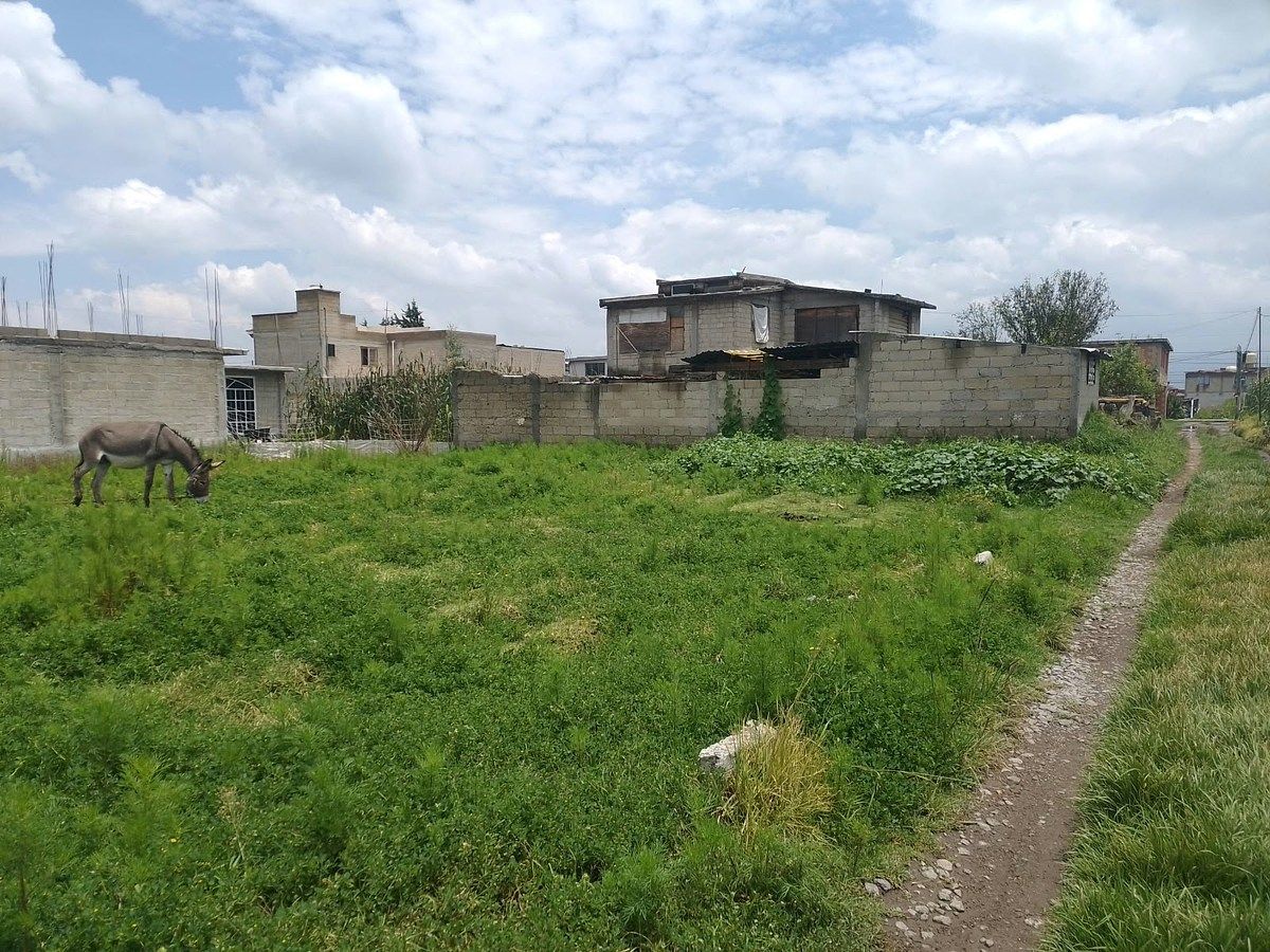 Lote em San Mateo Otzacatipan, Toluca, foto 4 de 7