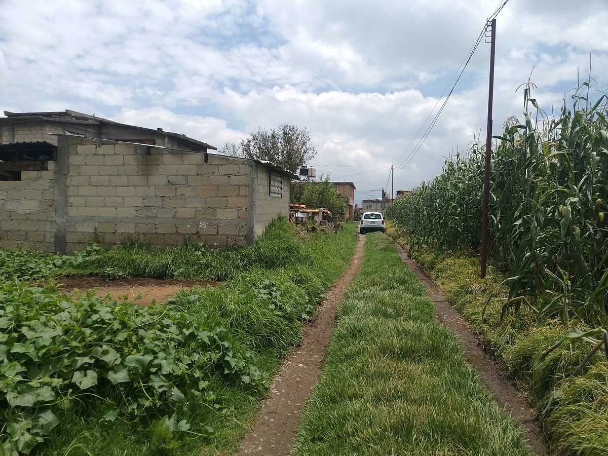 Lote em San Mateo Otzacatipan, Toluca, foto 3 de 7