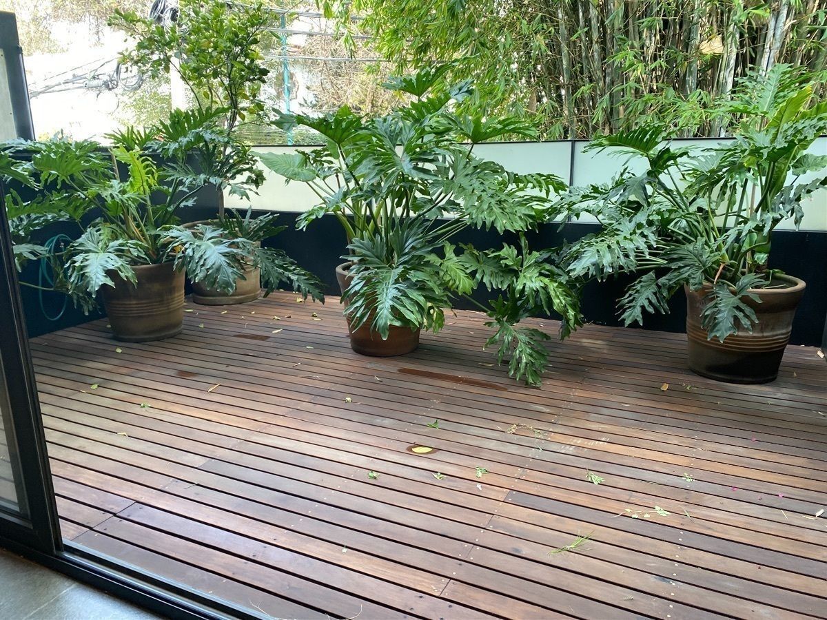 Departamento en Polanco IV Sección, Miguel Hidalgo, foto 4 de 41