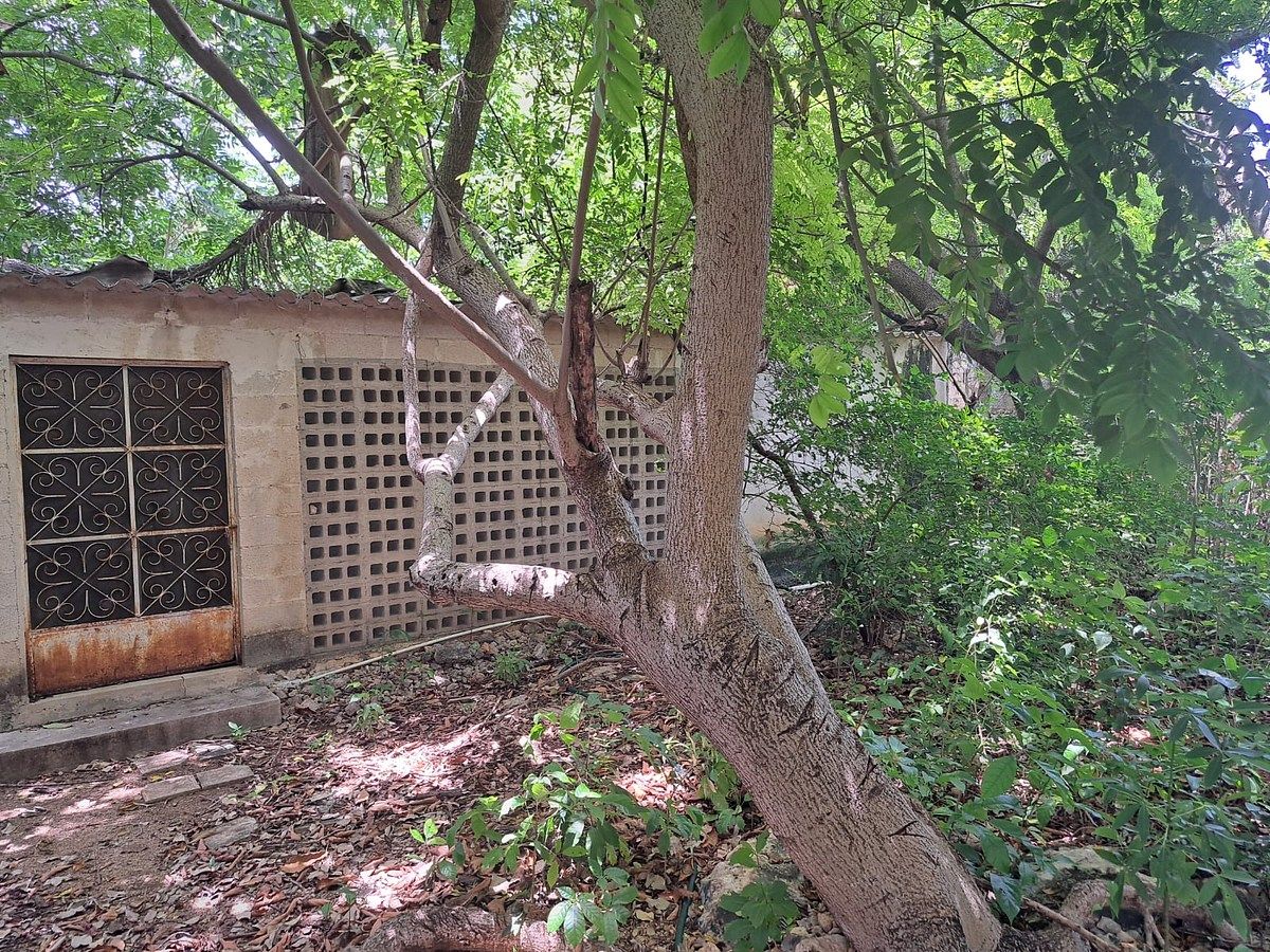 House in Itzimna, Mérida, photo 19 of 22