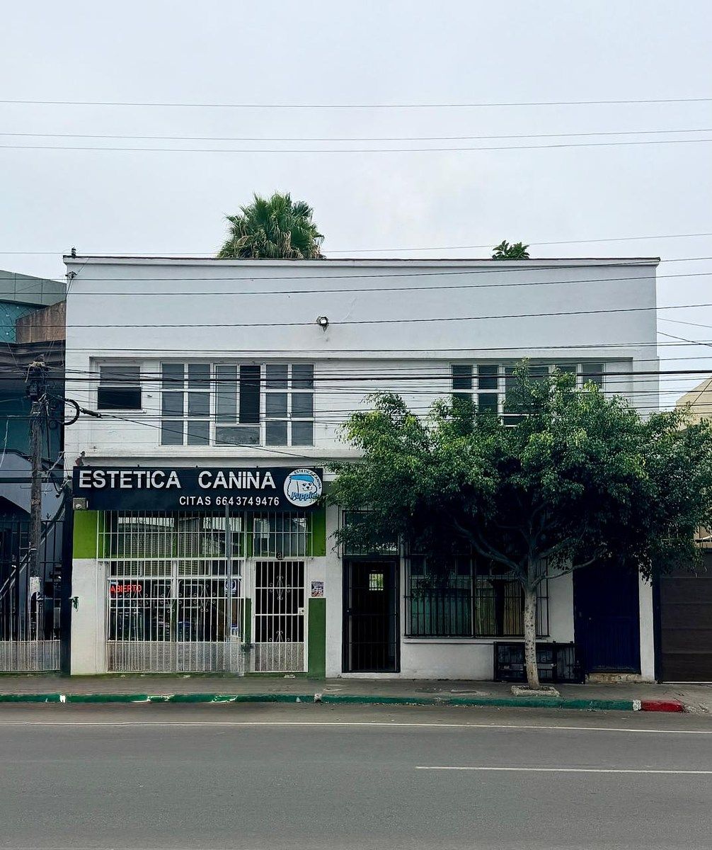 Office in Centro, Tijuana, photo 2 of 6