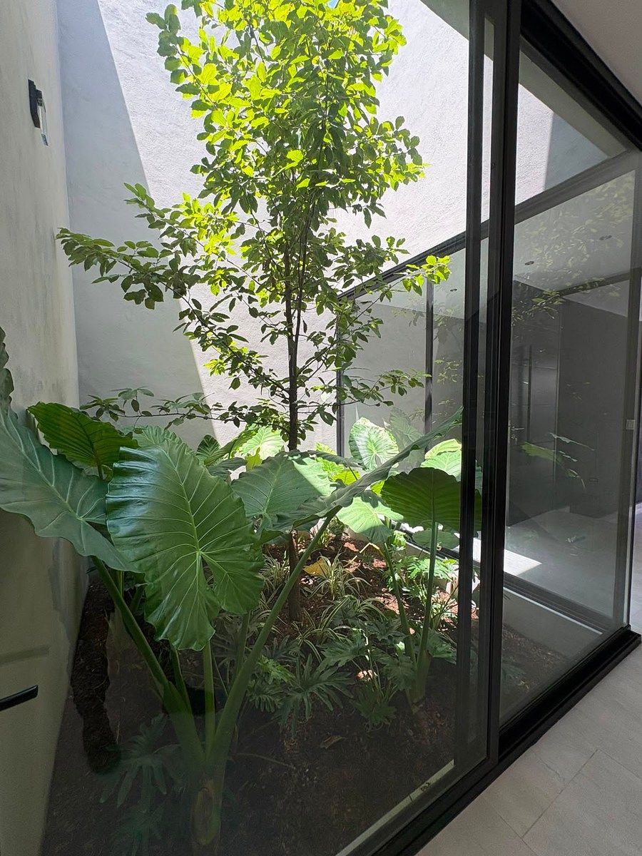 Casa en El Barro, Monterrey, foto 8 de 21