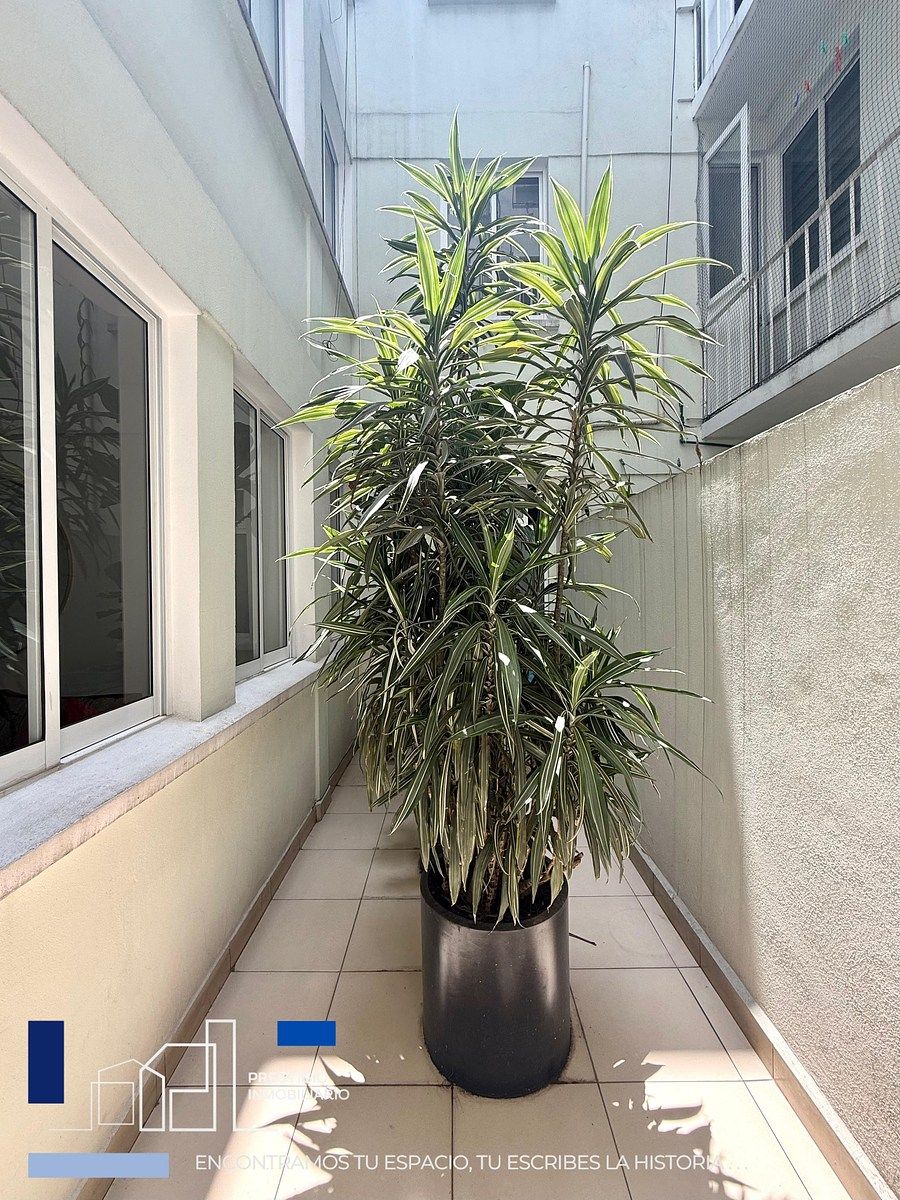 Departamento en Roma Norte, Cuauhtémoc, foto 14 de 17