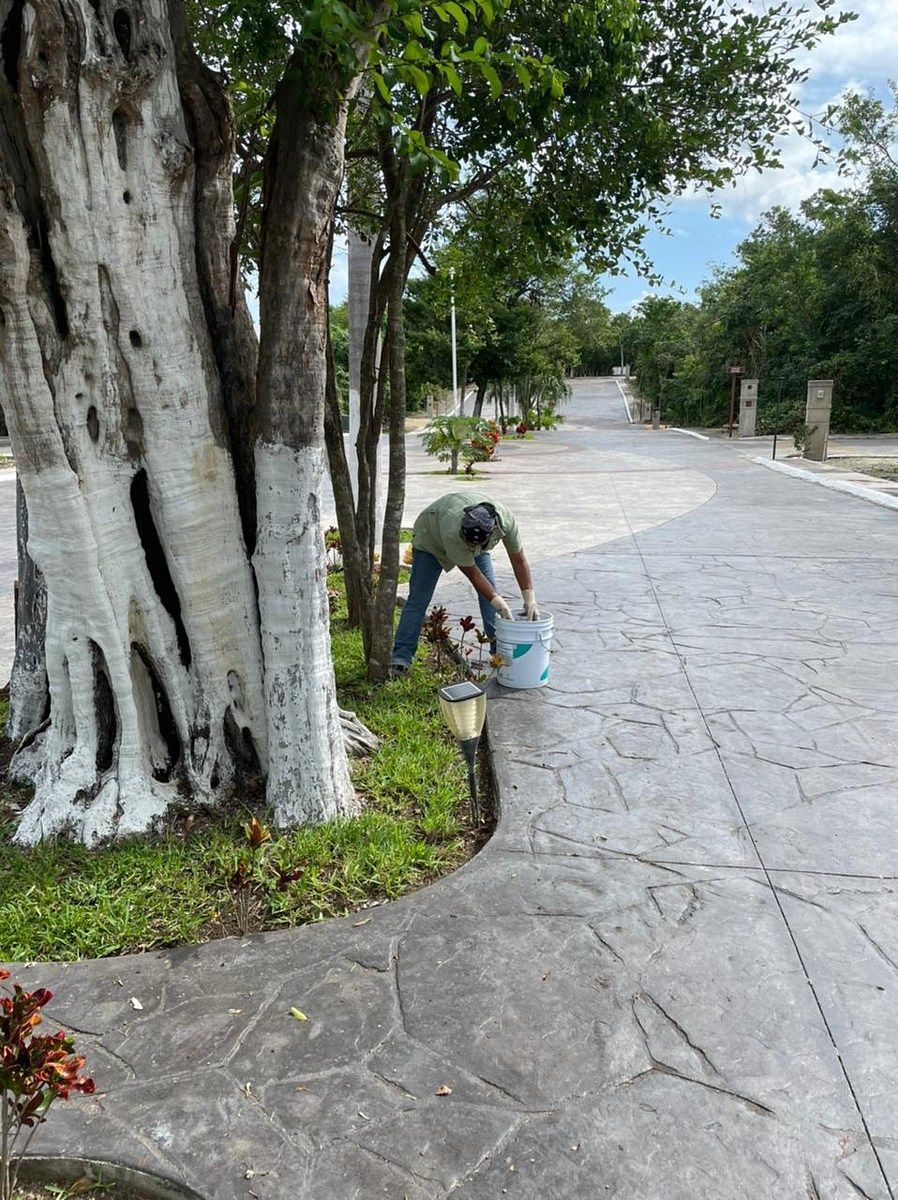 Terreno en Puerto Morelos, Puerto Morelos, foto 26 de 30
