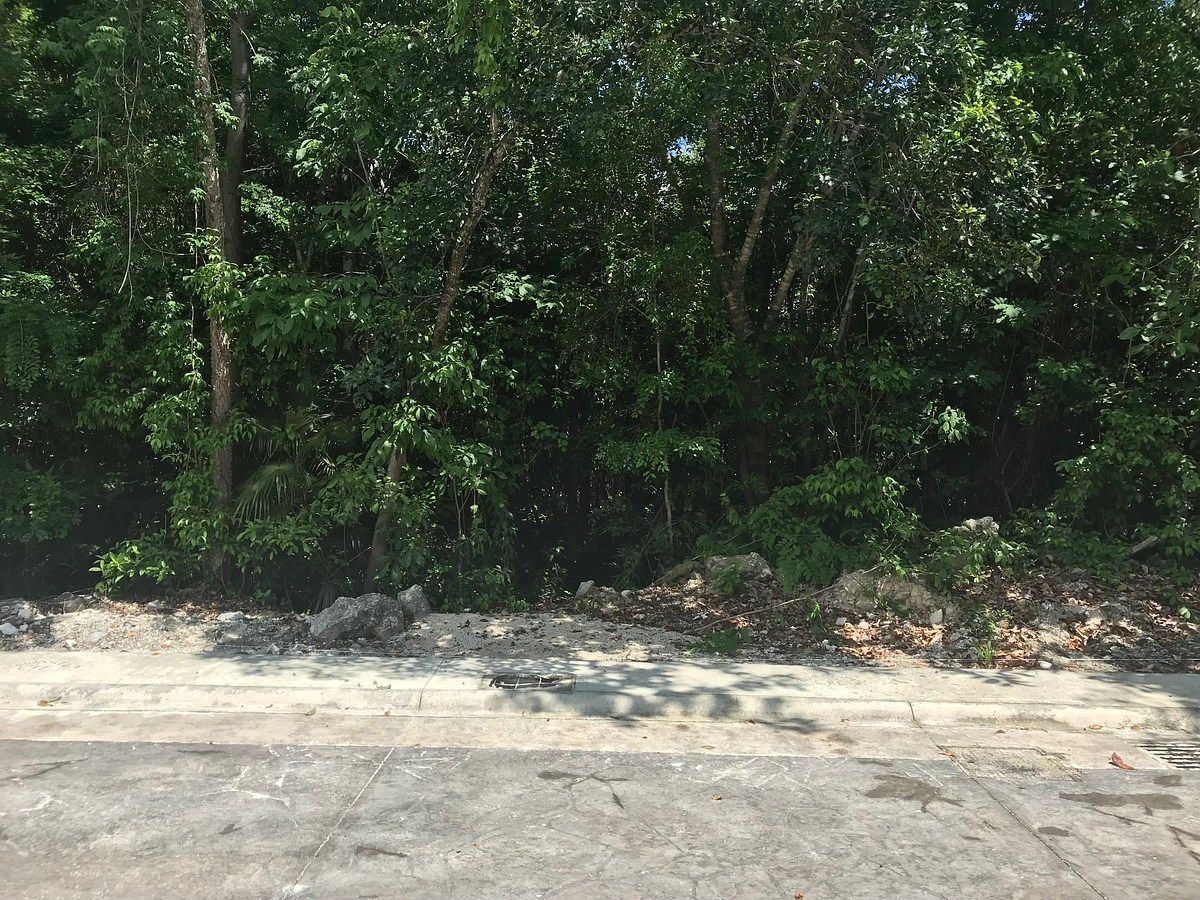 Terreno en Puerto Morelos, Puerto Morelos, foto 28 de 30