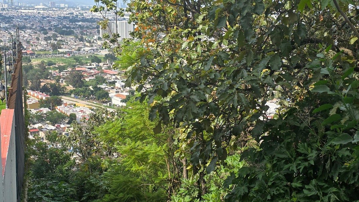 Terreno en Bugambilias, Zapopan, foto 5 de 6