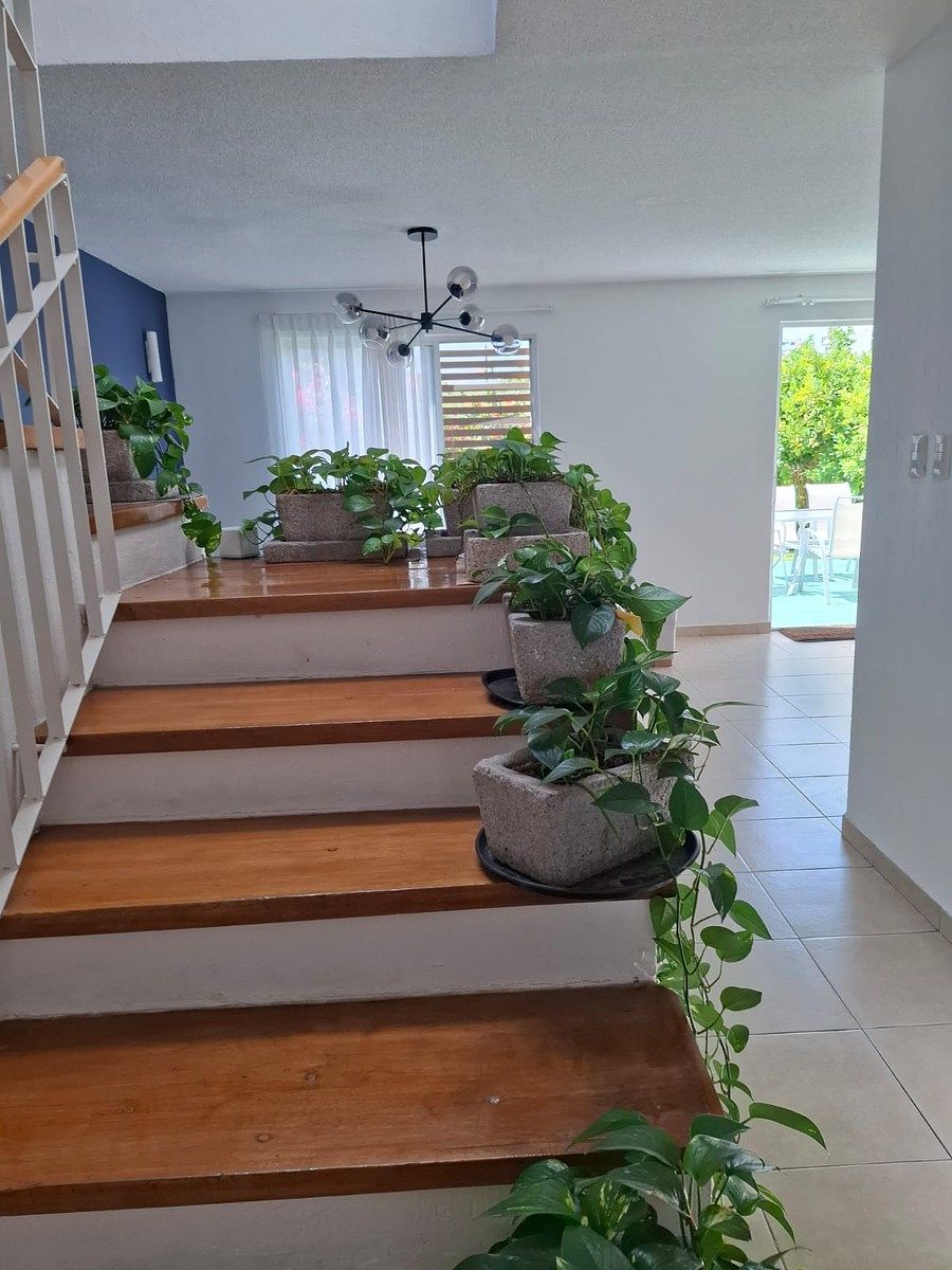 House in Gated Community in Privada Juriquilla, Querétaro, photo 13 of 32