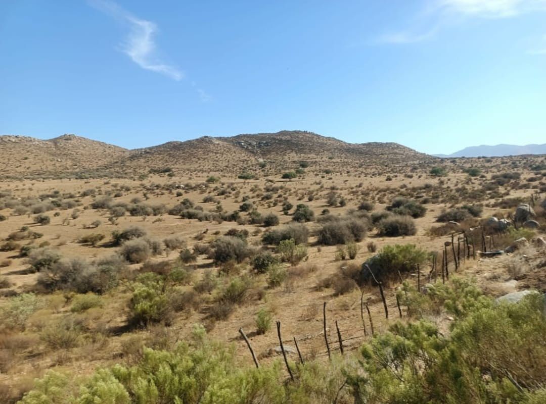 Terreno en El Testerazo, Tecate, foto 6 de 7