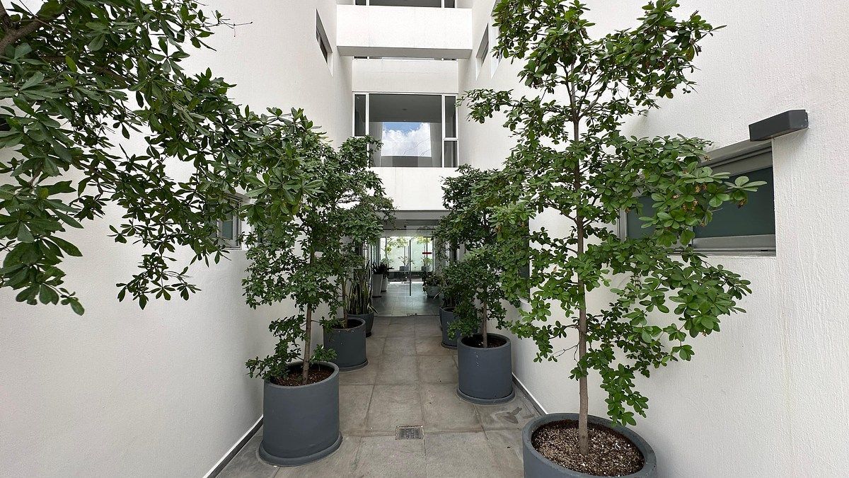 Apartamento em Paseos del Sol, Zapopan, foto 18 de 28
