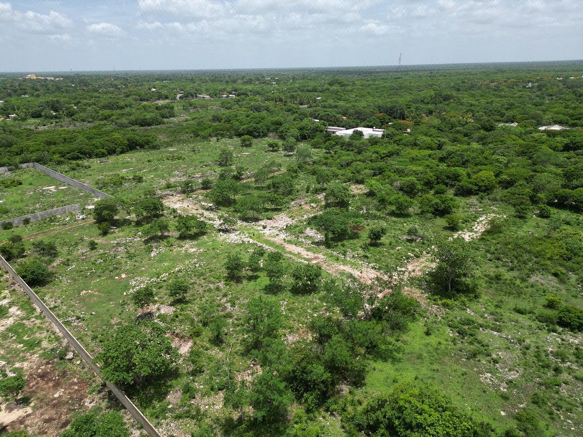 Terreno en Izamal, Izamal, foto 4 de 9