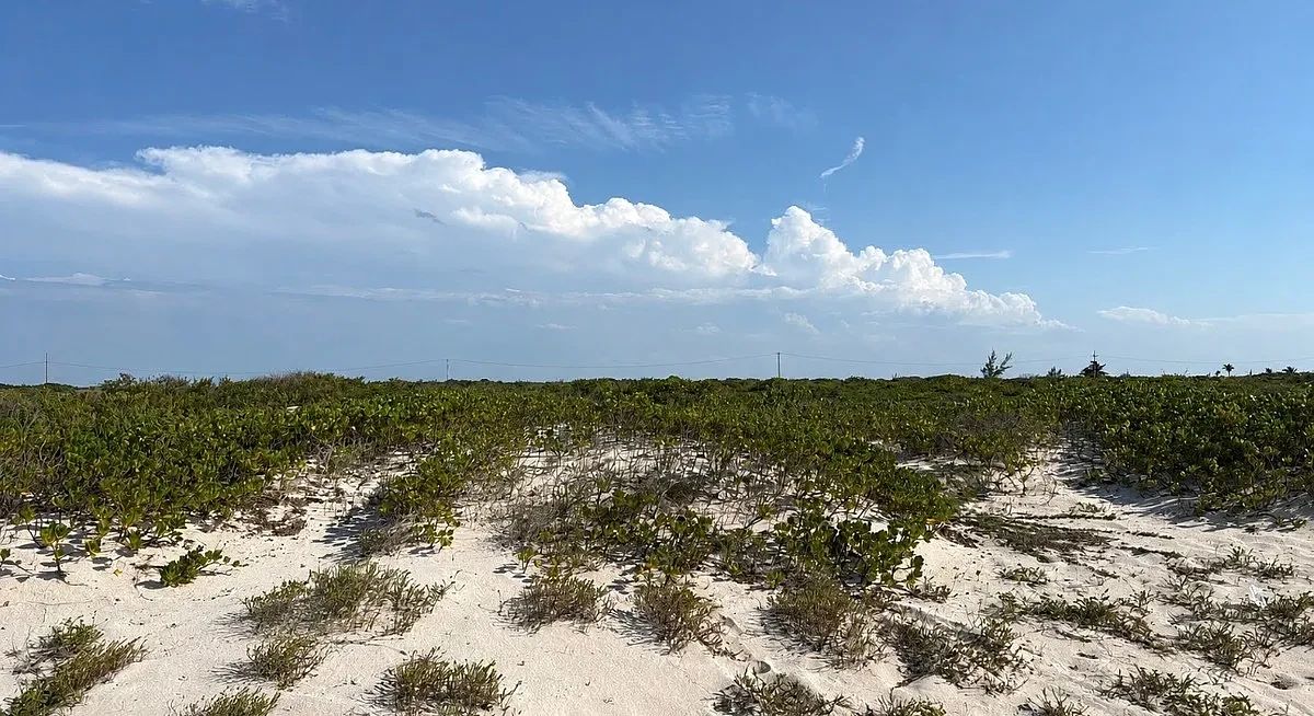 Lote em Chuburna Puerto, Progreso, foto 3 de 6