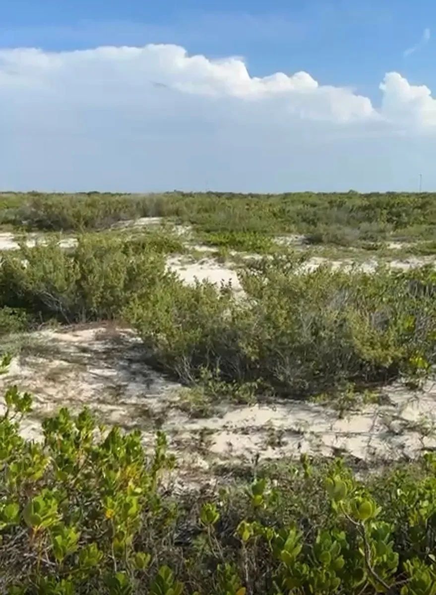 Lote em Chuburna Puerto, Progreso, foto 5 de 6