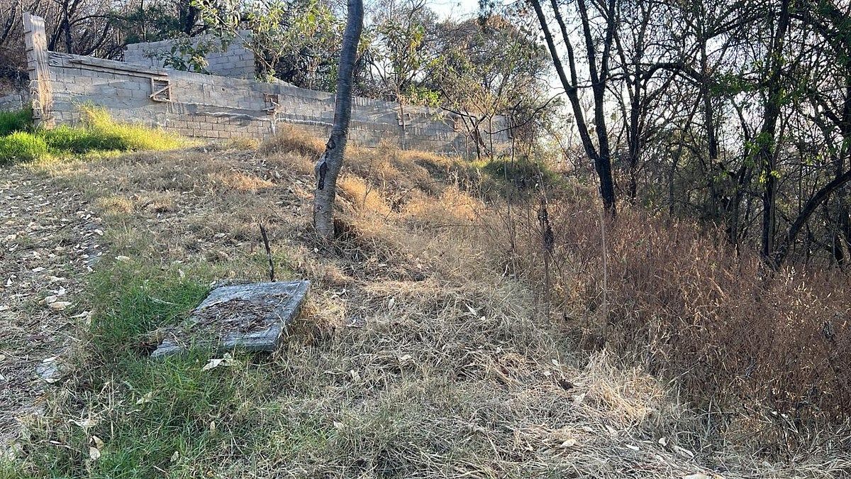 Terreno en Ixtapan de la Sal, Ixtapan de la Sal, foto 2 de 16