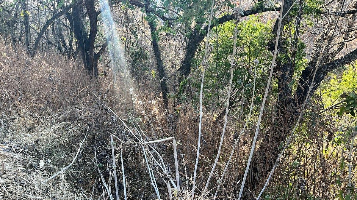 Terreno en Ixtapan de la Sal, Ixtapan de la Sal, foto 4 de 16