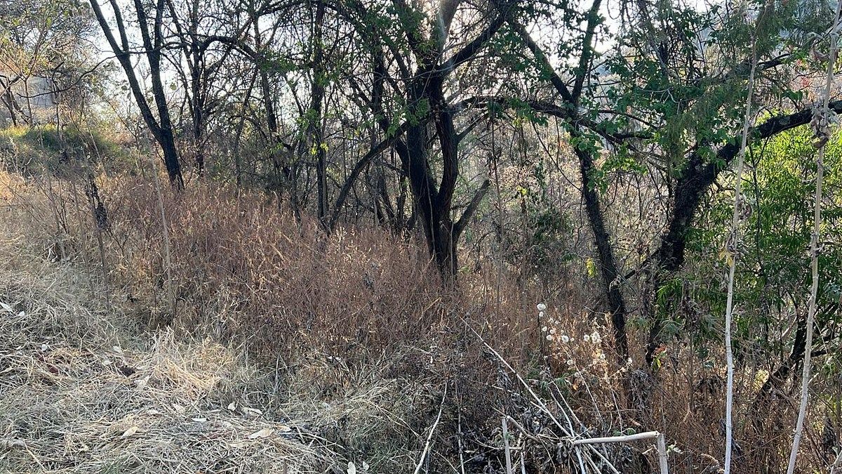 Terreno en Ixtapan de la Sal, Ixtapan de la Sal, foto 5 de 16