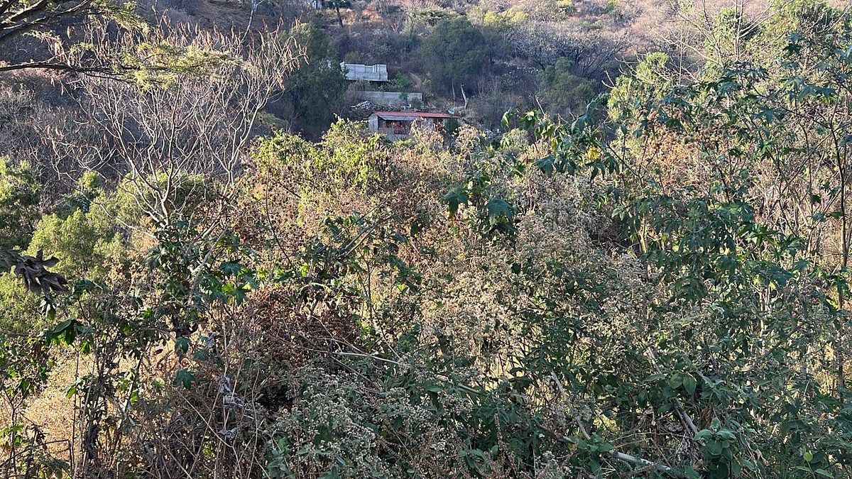 Terreno en Ixtapan de la Sal, Ixtapan de la Sal, foto 6 de 16