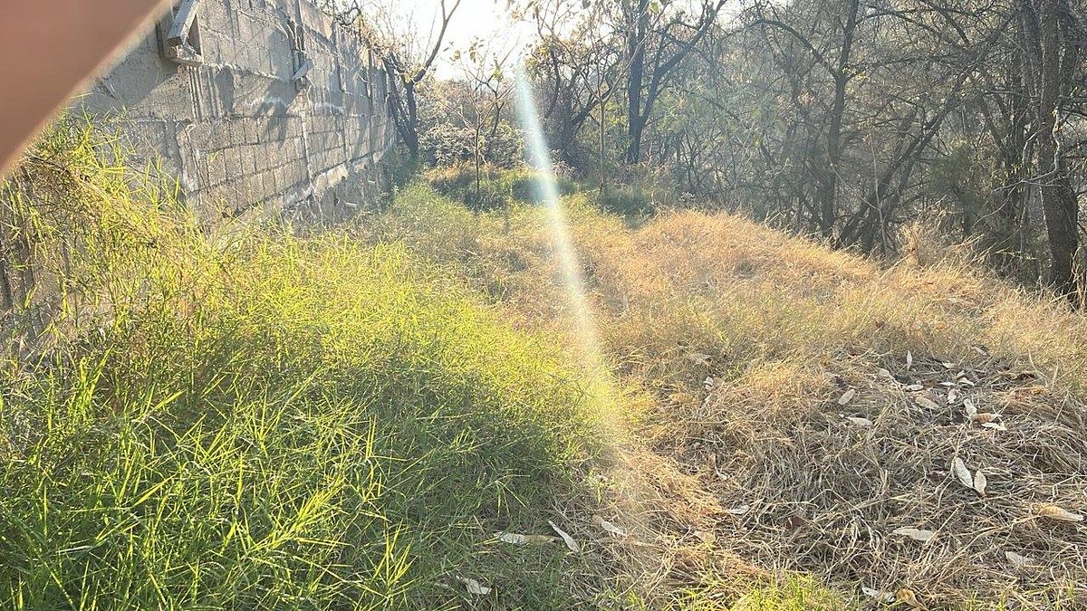 Terreno en Ixtapan de la Sal, Ixtapan de la Sal, foto 9 de 16