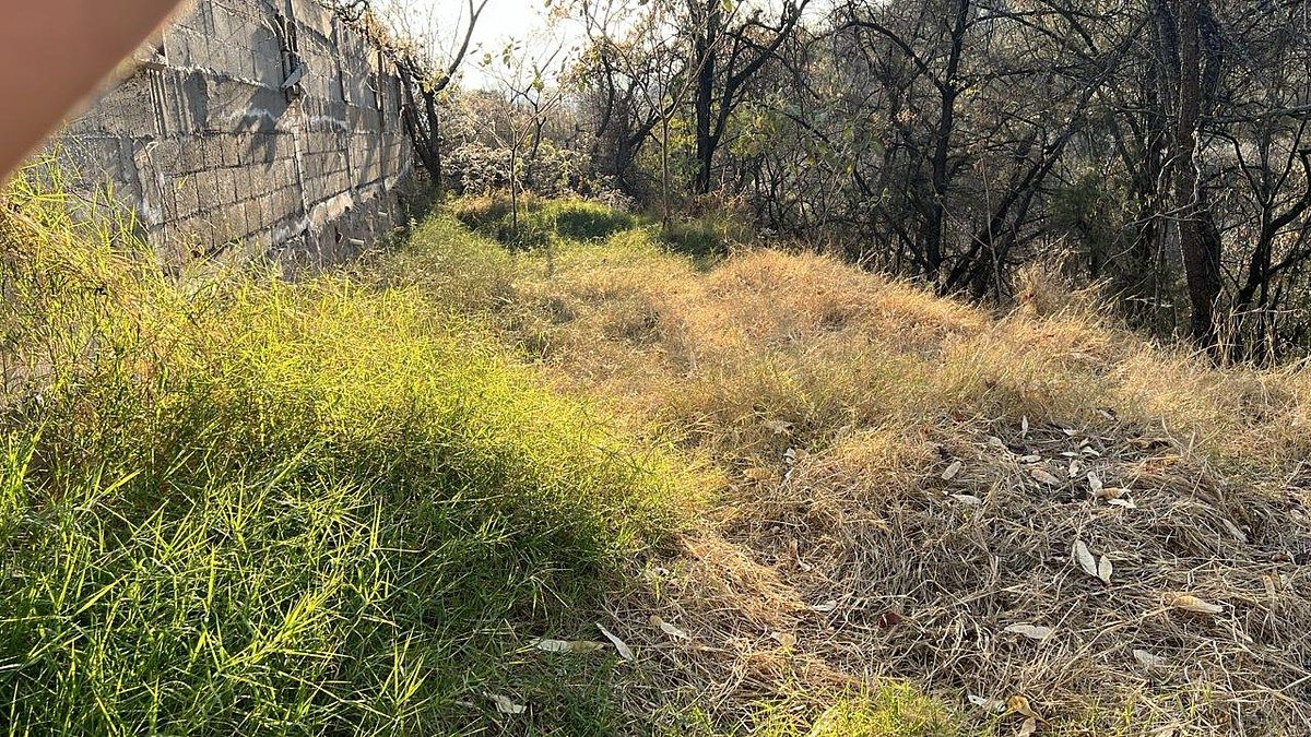 Terreno en Ixtapan de la Sal, Ixtapan de la Sal, foto 10 de 16