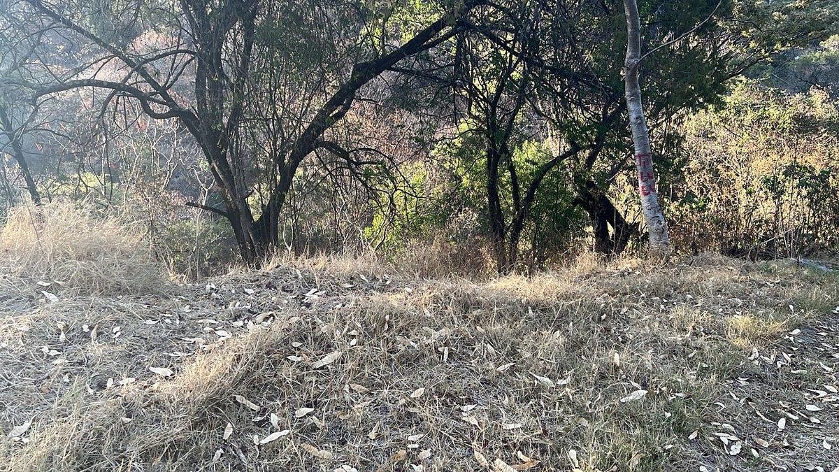 Terreno en Ixtapan de la Sal, Ixtapan de la Sal, foto 12 de 16