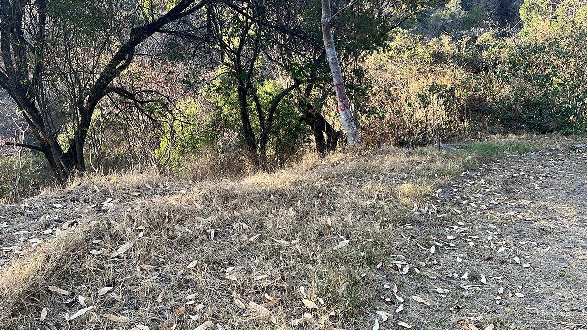 Terreno en Ixtapan de la Sal, Ixtapan de la Sal, foto 13 de 16