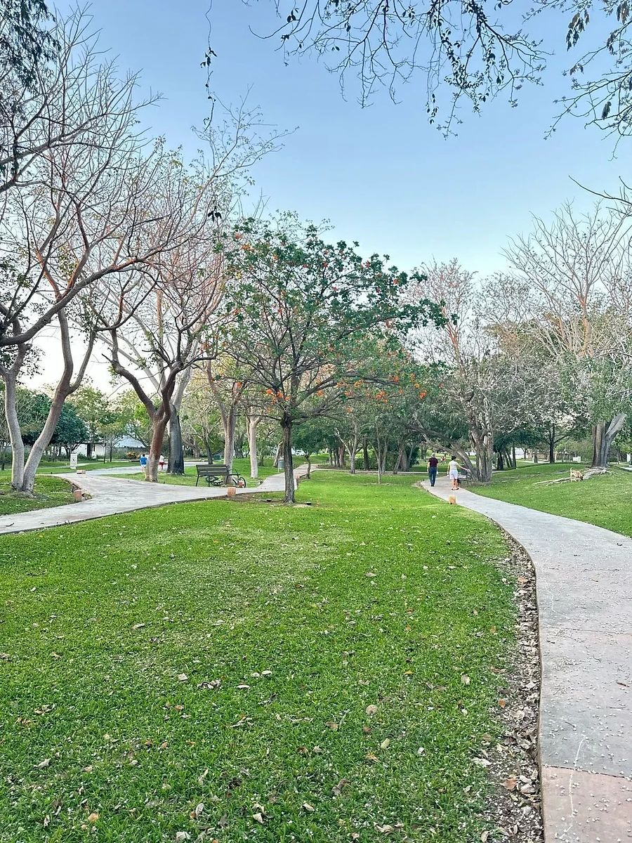 Lot in Parque Central, Mérida, photo 3 of 5