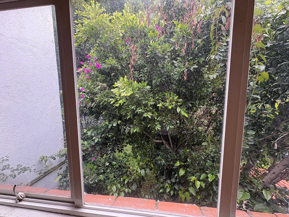 Casa em Lomas de Tecamachalco, Huixquilucan, foto 27 de 37