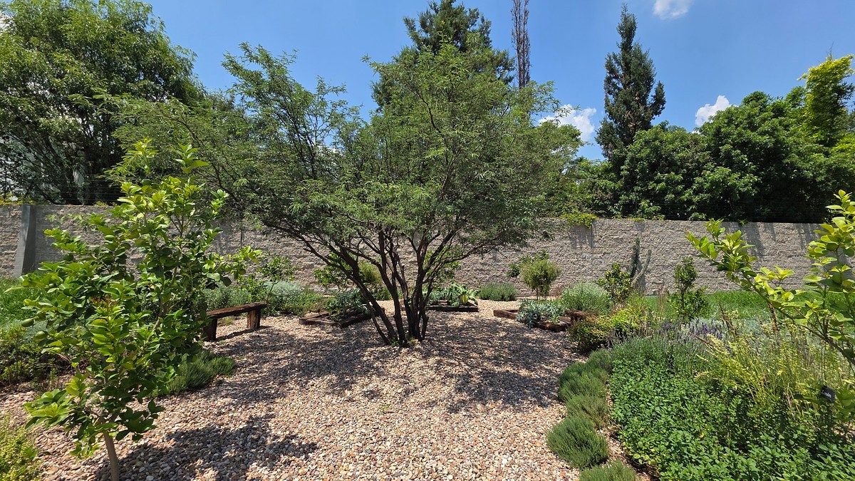 Lote em Jurica, Querétaro, foto 10 de 13