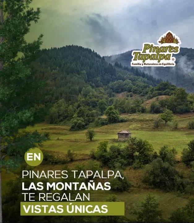 Lote em San Antonio, Tapalpa, foto 6 de 6