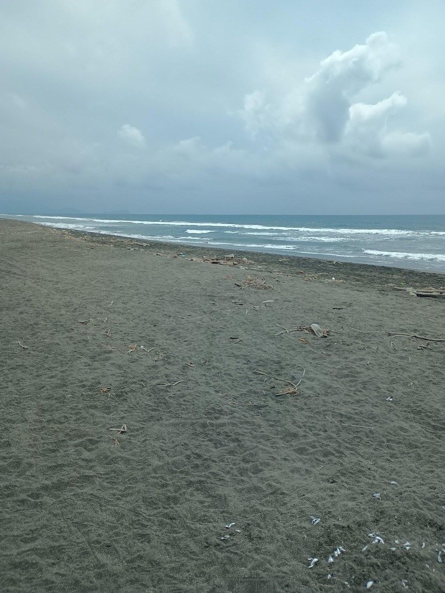 Lot in Cerro de Ortega, Tecomán, photo 4 of 12