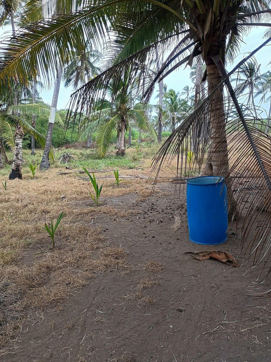 Lot in Cerro de Ortega, Tecomán, photo 3 of 12