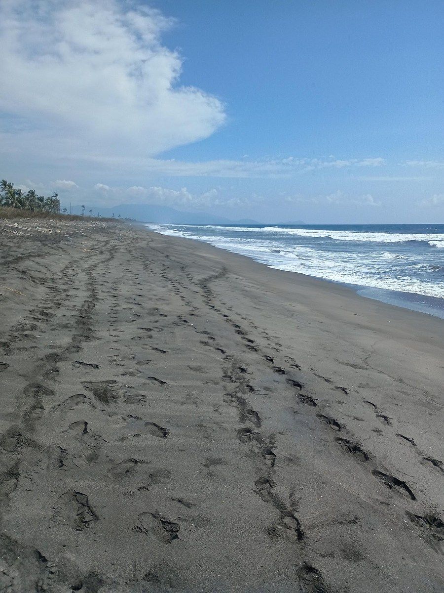 Land facing the sea | 150 hectares in Tecomán Colima, photo 1 of 12