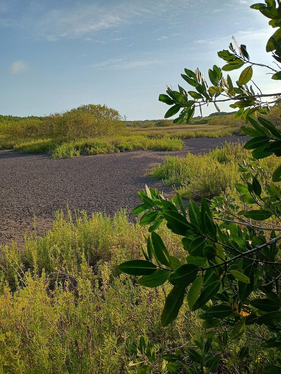 Lot in Cerro de Ortega, Tecomán, photo 5 of 12