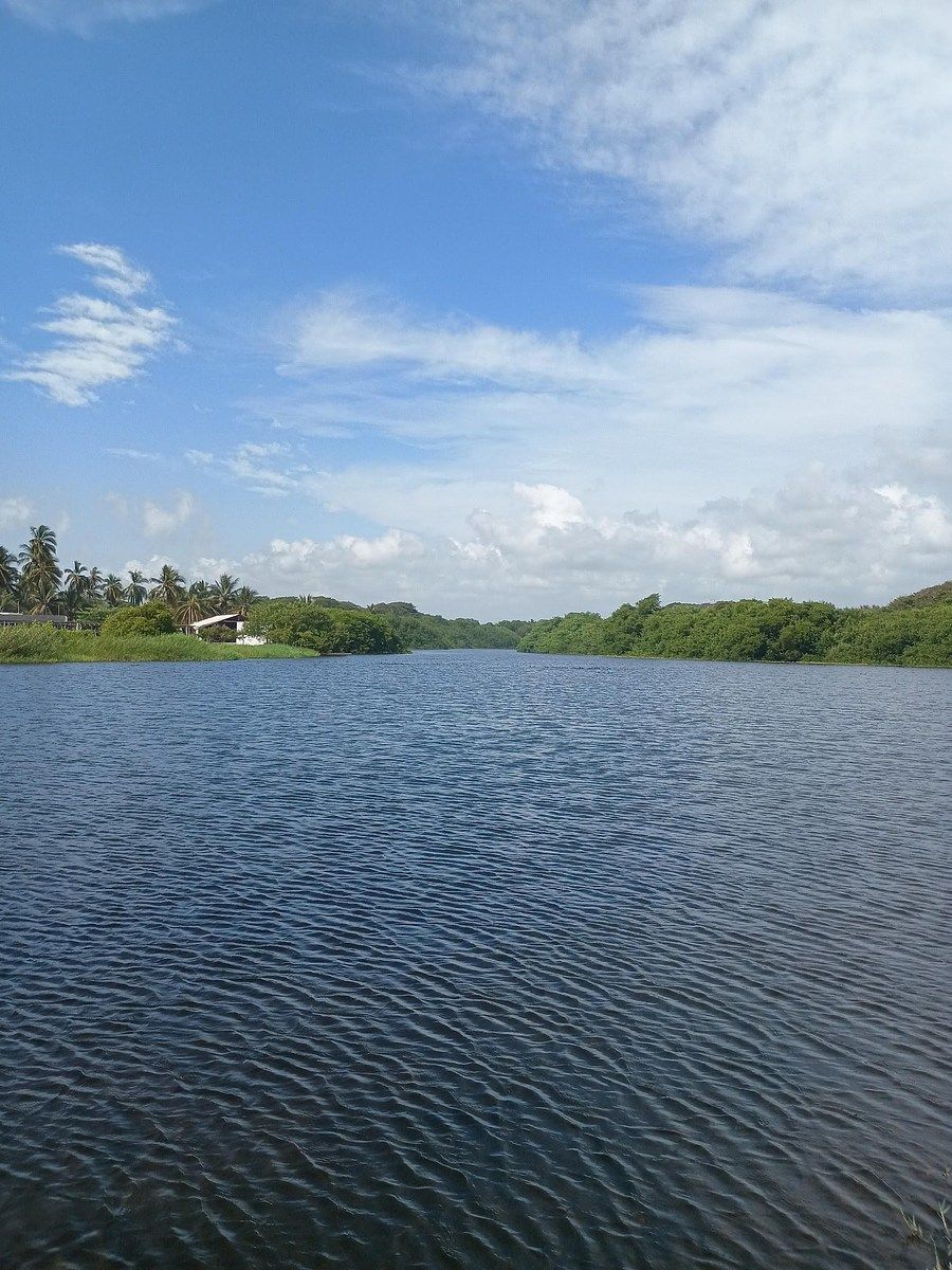 Lot in Cerro de Ortega, Tecomán, photo 6 of 12
