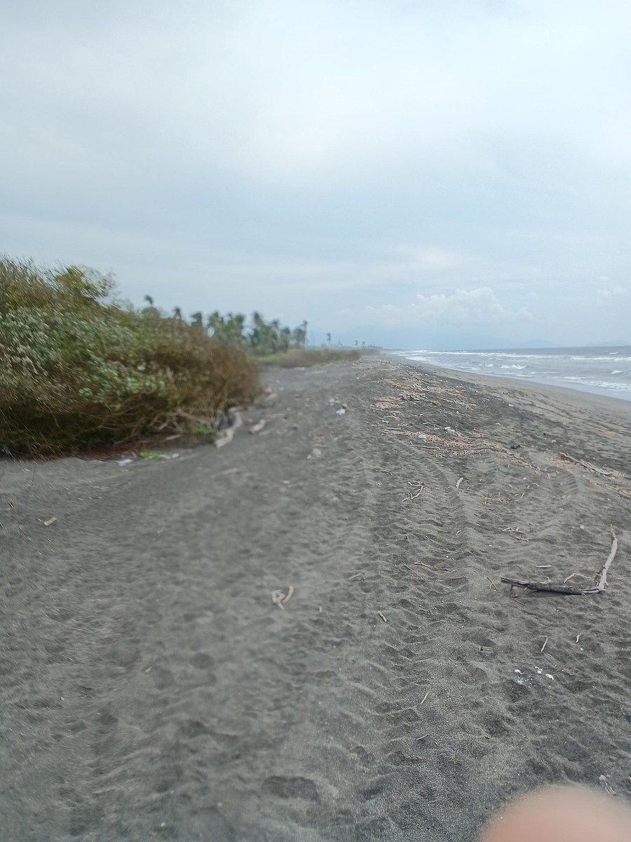 Lot in Cerro de Ortega, Tecomán, photo 8 of 12