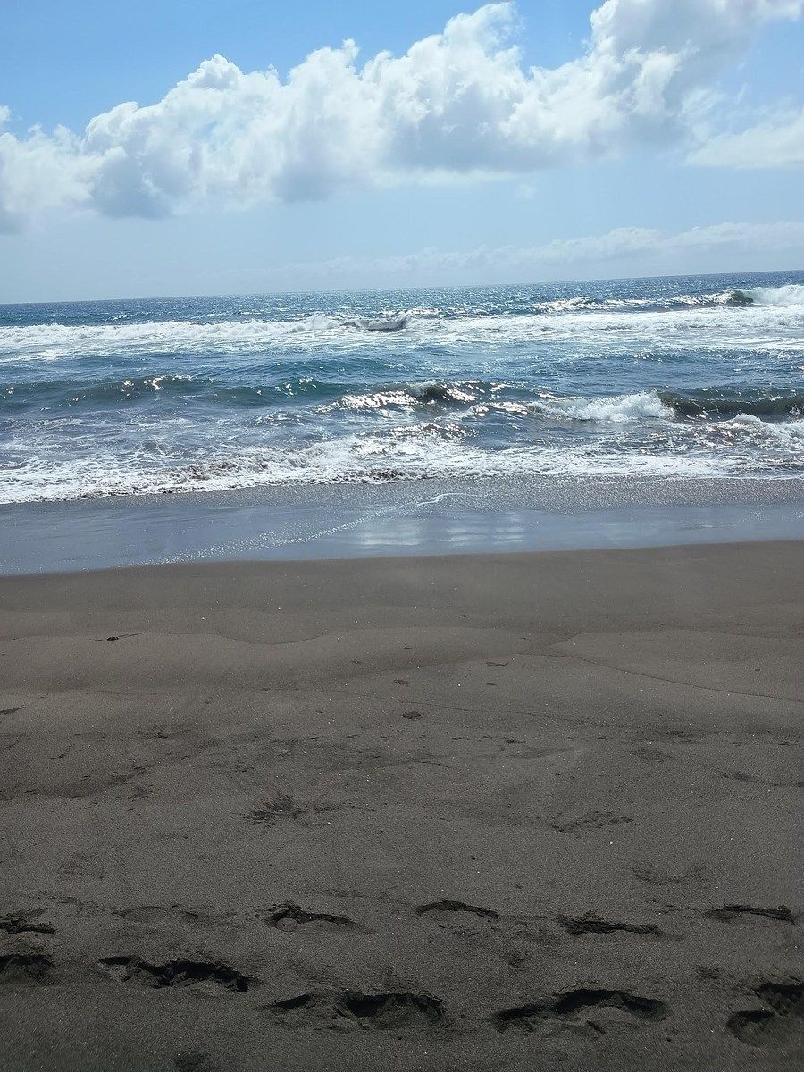 Lot in Cerro de Ortega, Tecomán, photo 7 of 12