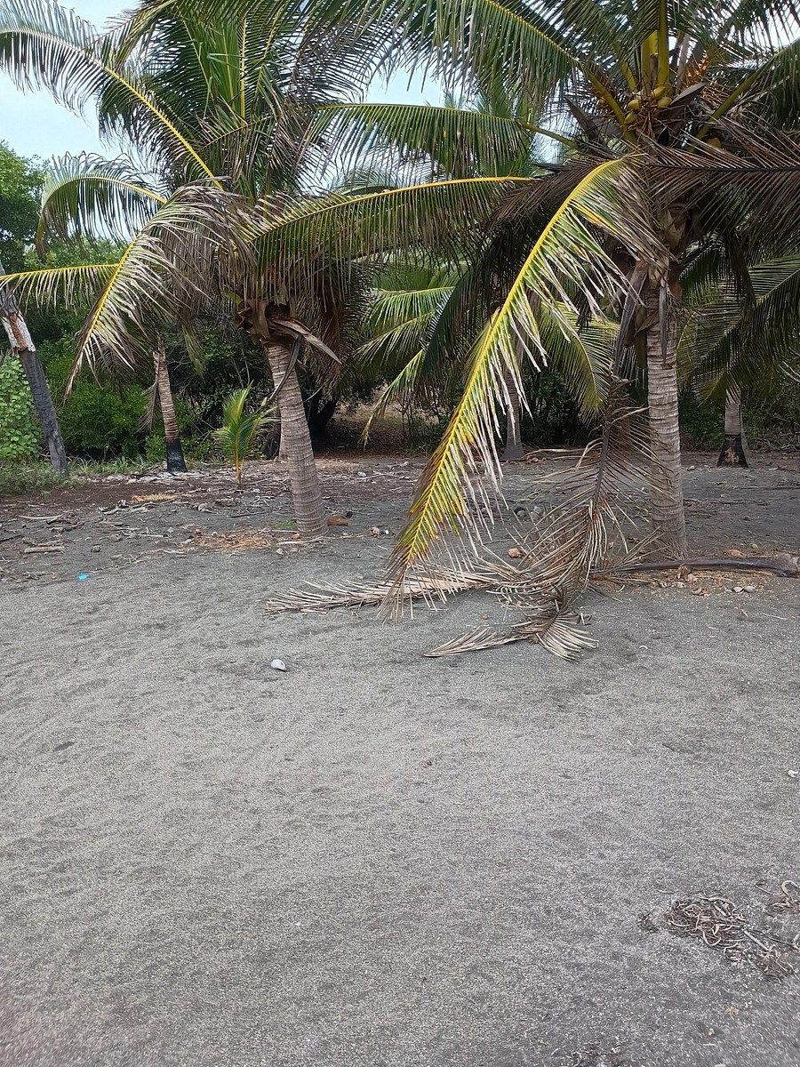 Lot in Cerro de Ortega, Tecomán, photo 12 of 12