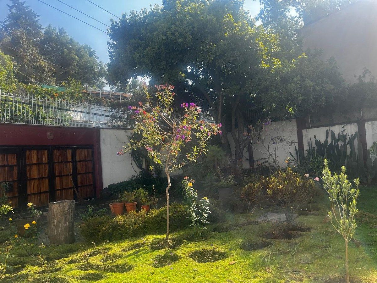 Terreno à Venda, San Angel, foto 1 de 12