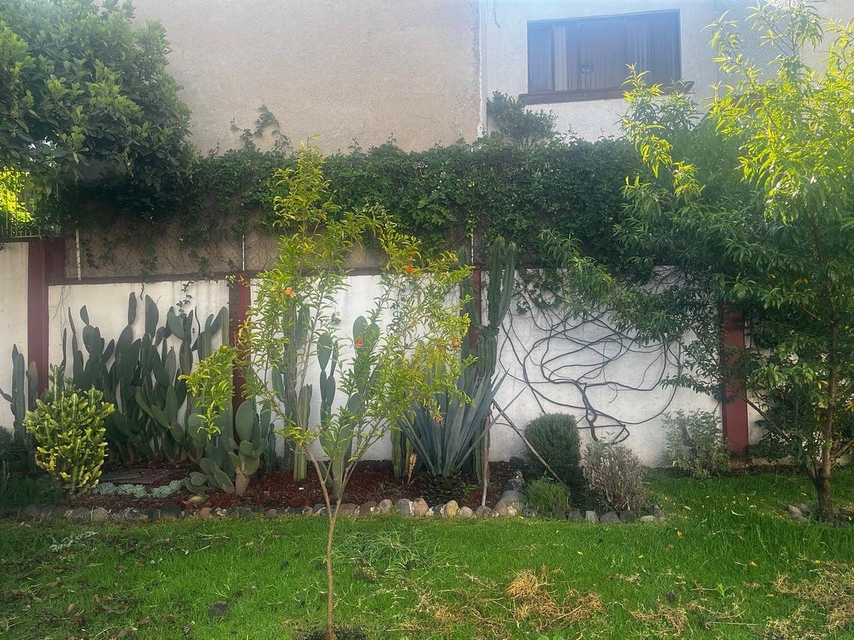 Lote comercial em San Ángel, Álvaro Obregón, foto 3 de 12