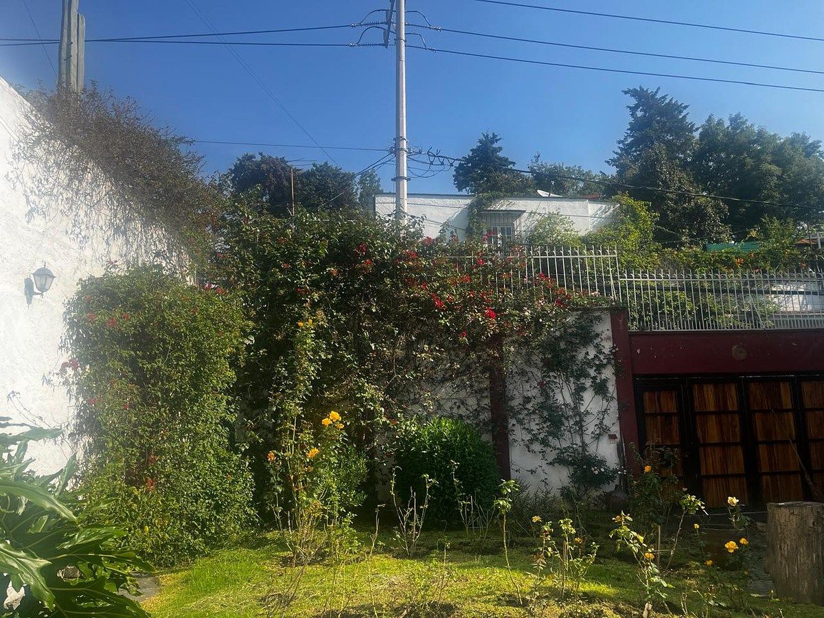 Lote comercial em San Ángel, Álvaro Obregón, foto 2 de 12