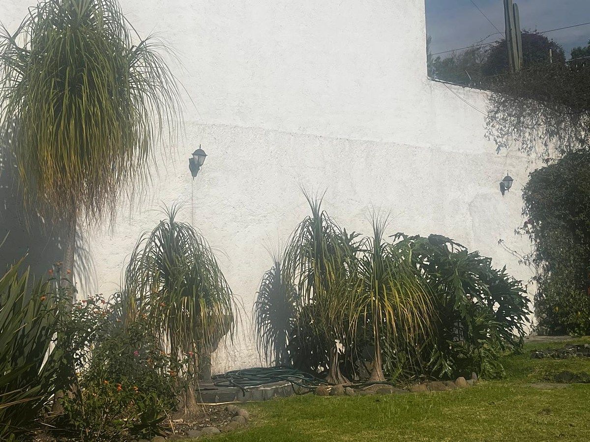 Lote comercial em San Ángel, Álvaro Obregón, foto 8 de 12