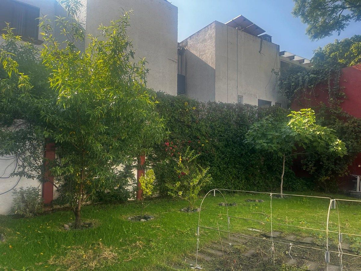 Lote comercial em San Ángel, Álvaro Obregón, foto 9 de 12