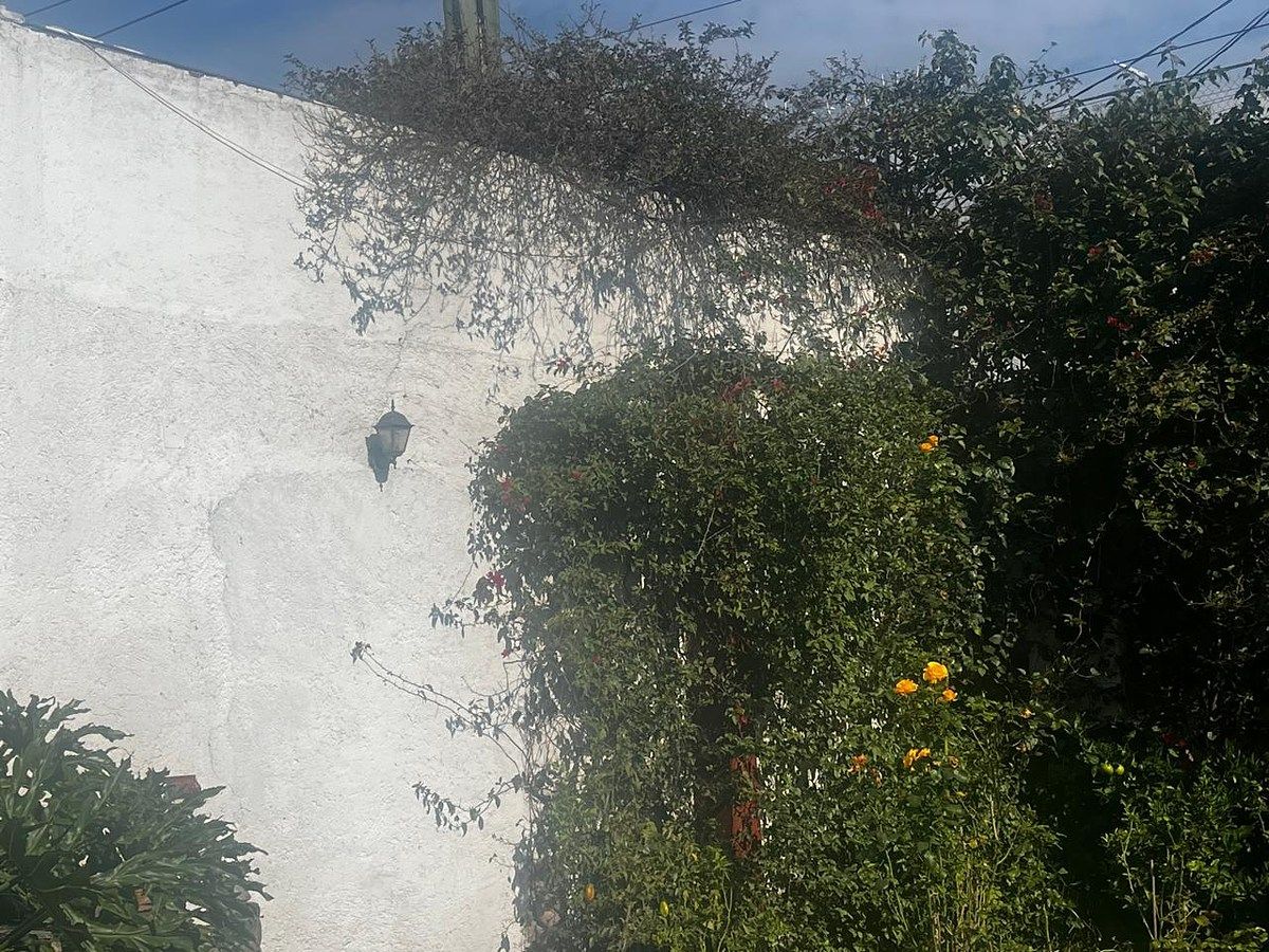 Lote comercial em San Ángel, Álvaro Obregón, foto 12 de 12