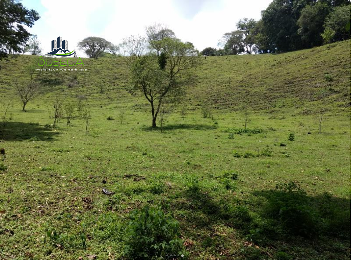 Country Land for Sale on the Road to Xolostla, Xalapa - foto 5